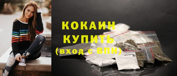 тгк Володарск