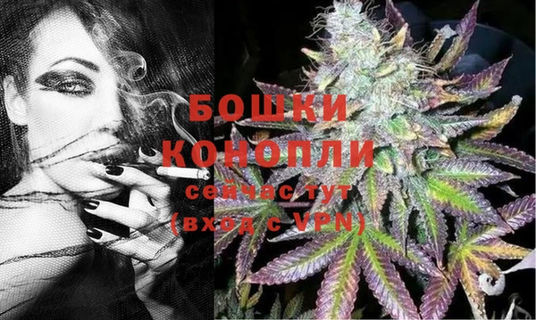 тгк Володарск