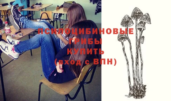 тгк Володарск
