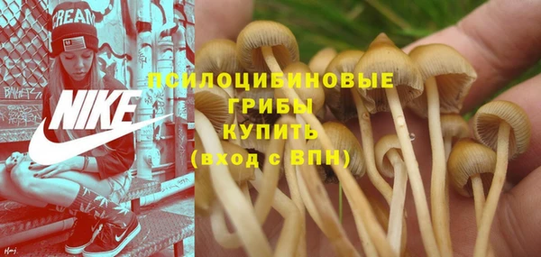 тгк Волосово