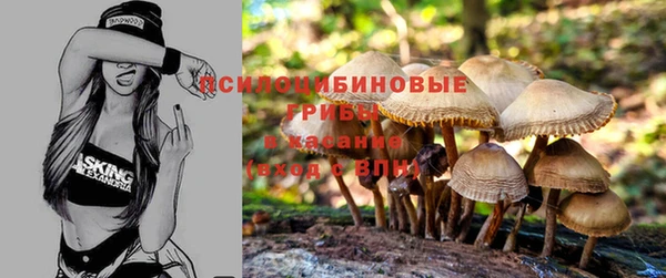 каннабис Волоколамск