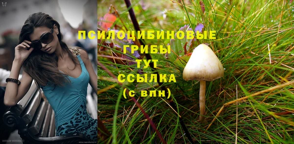 тгк Володарск